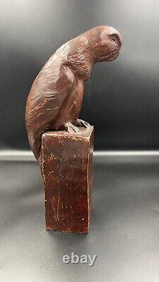 Grand perroquet terre cuite sculpture animalière Art Déco très bon état